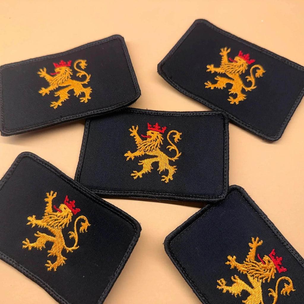 Klett Patch „Pfälzer Löwe“ - Pfälzer Löwen