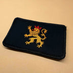 Klett Patch „Pfälzer Löwe“ - Pfälzer Löwen