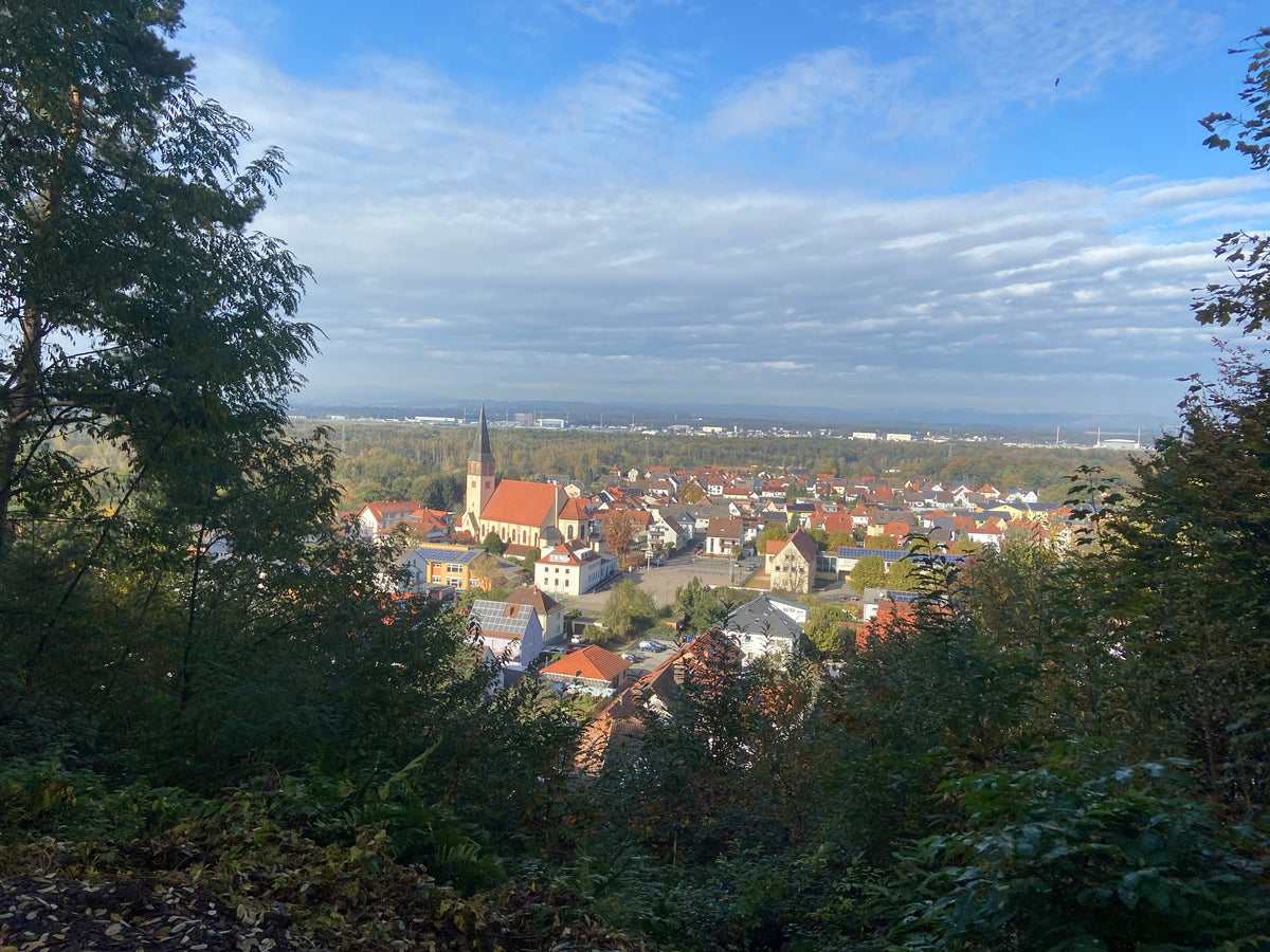 Pfälzer Löwen aus Kindsbach in der Westpfalz