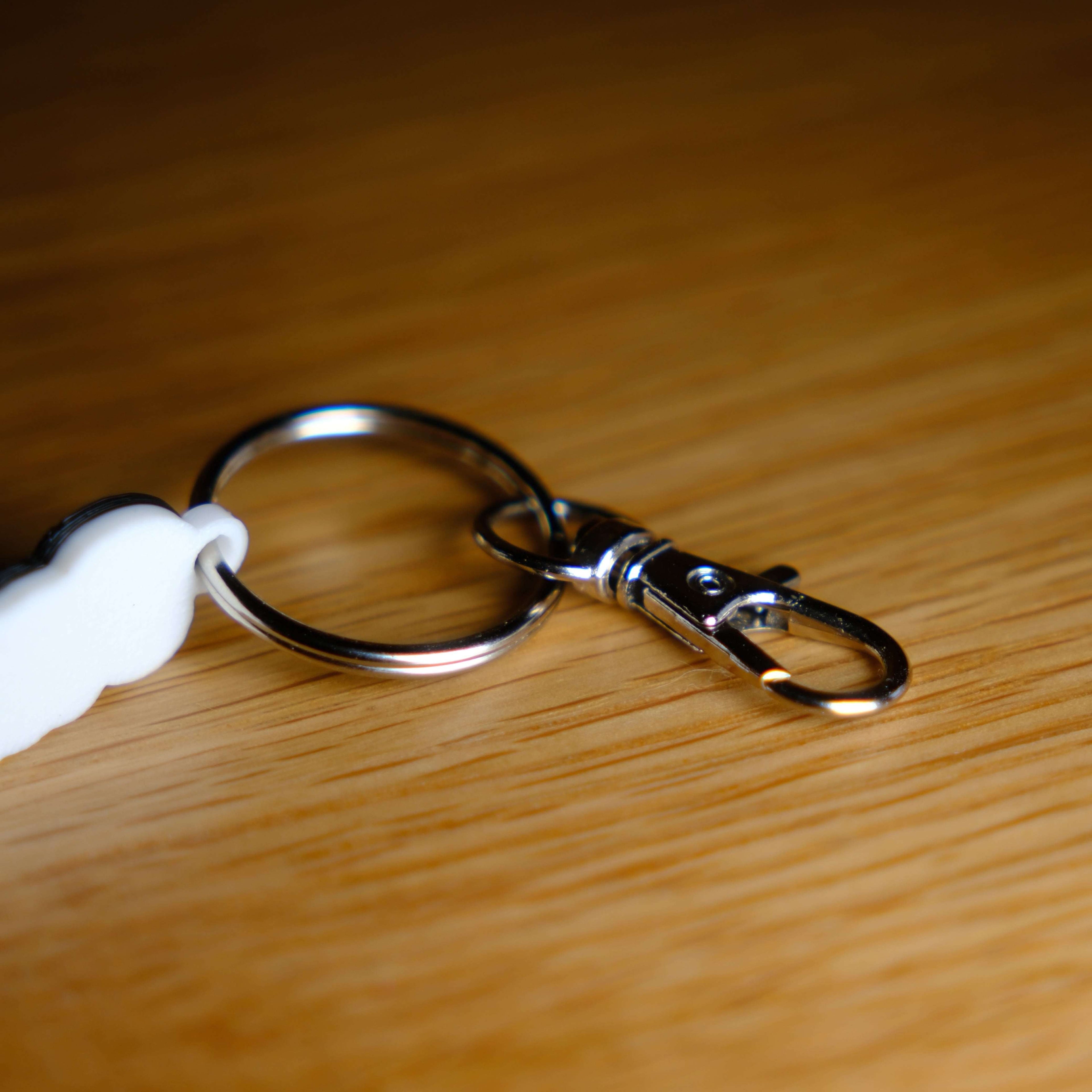 Pfalz Schlüsselanhänger Karabiner Ring