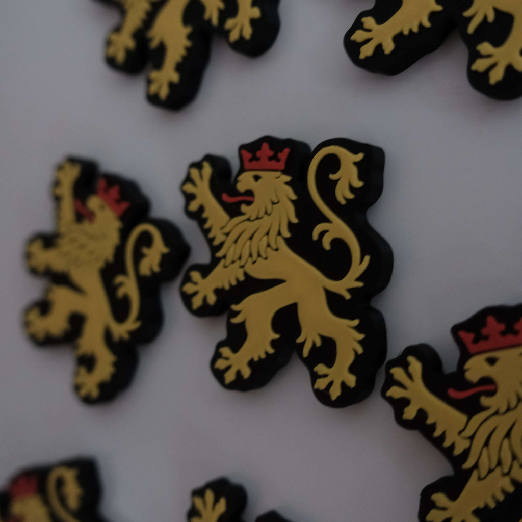 Pfälzer Löwe Kühlschrank Magnet