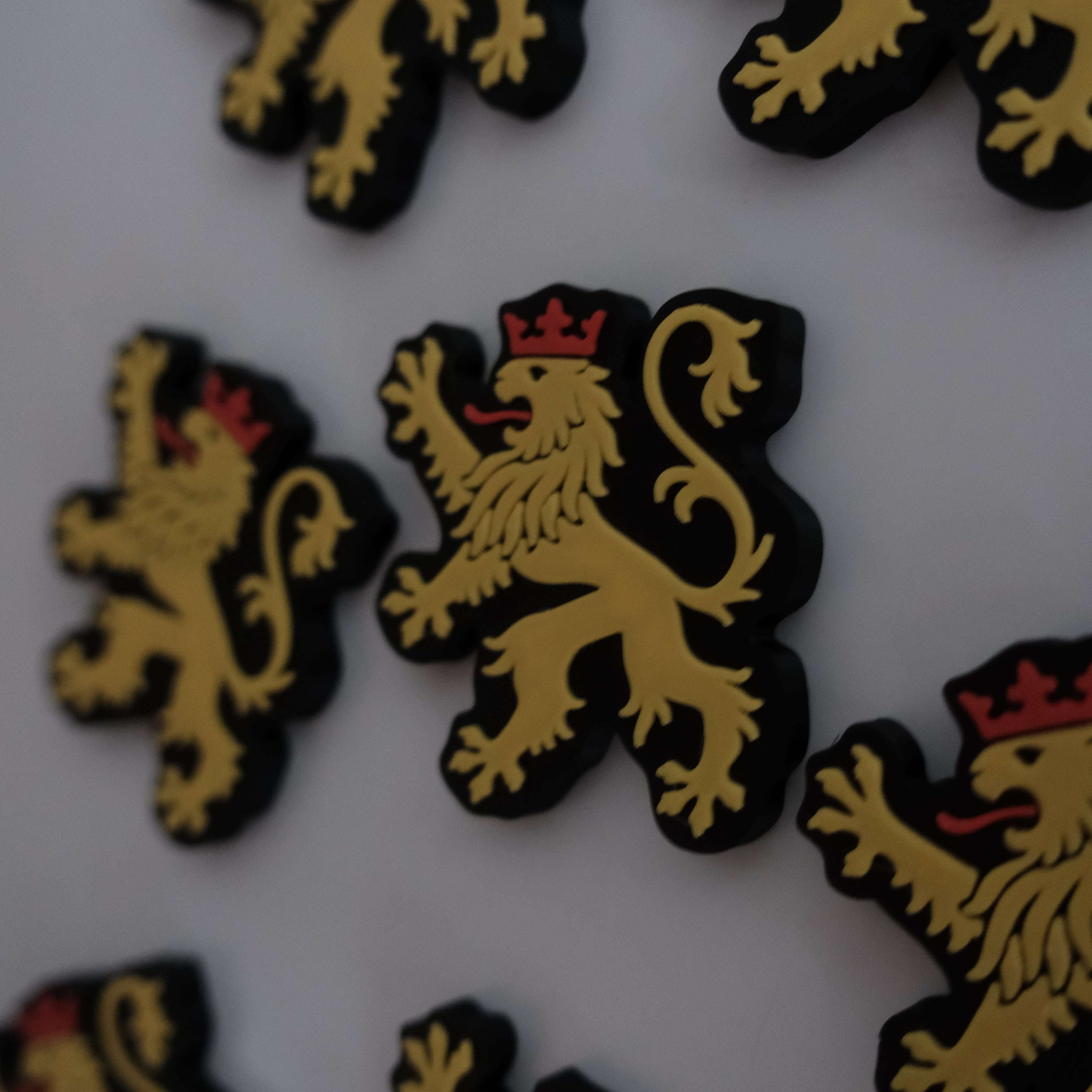 Pfälzer Löwe Kühlschrank Magnet