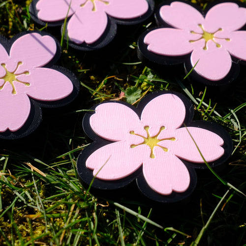 Mandelblüte Magnet Pfälzer Löwen Pfalz