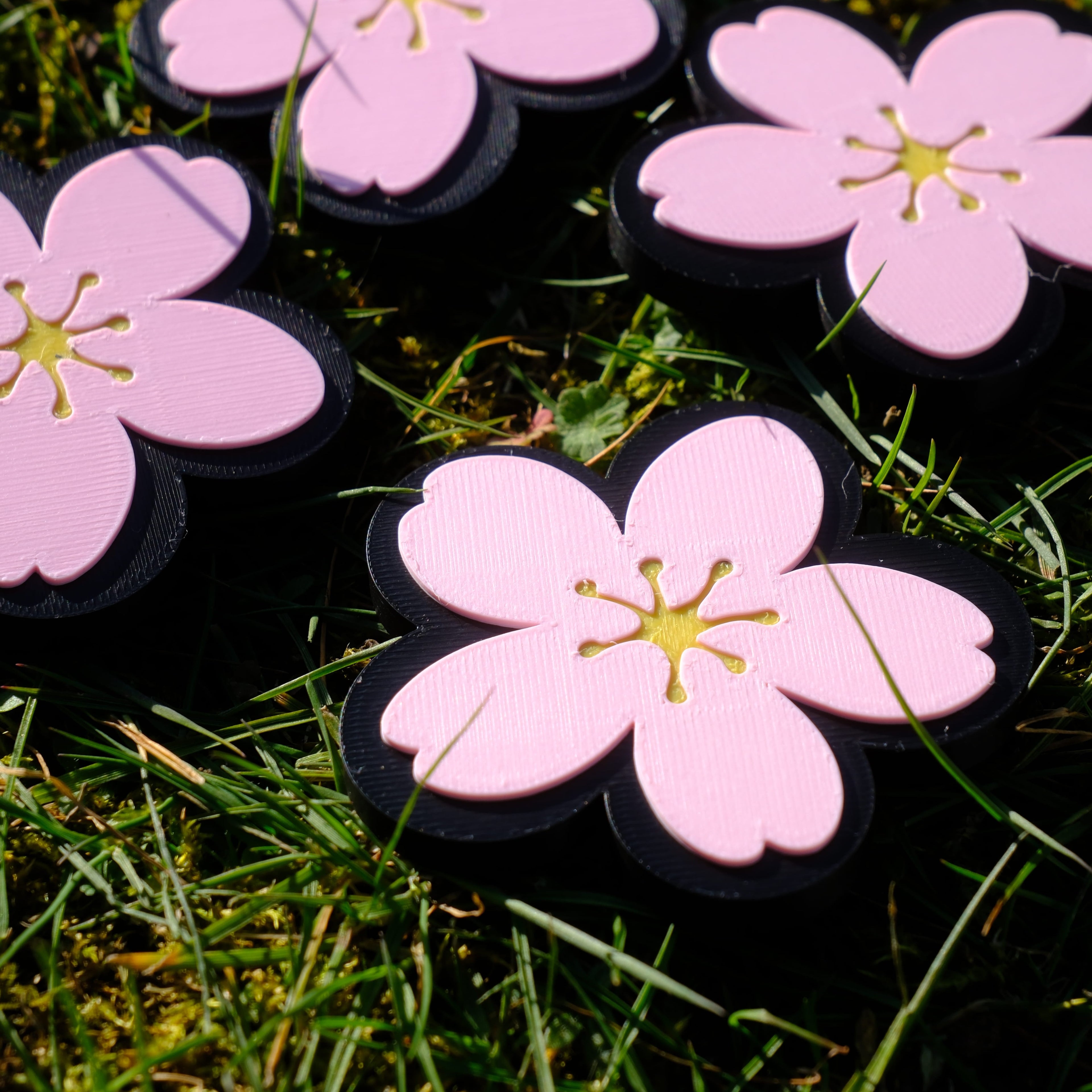 Mandelblüte Magnet Pfälzer Löwen Pfalz